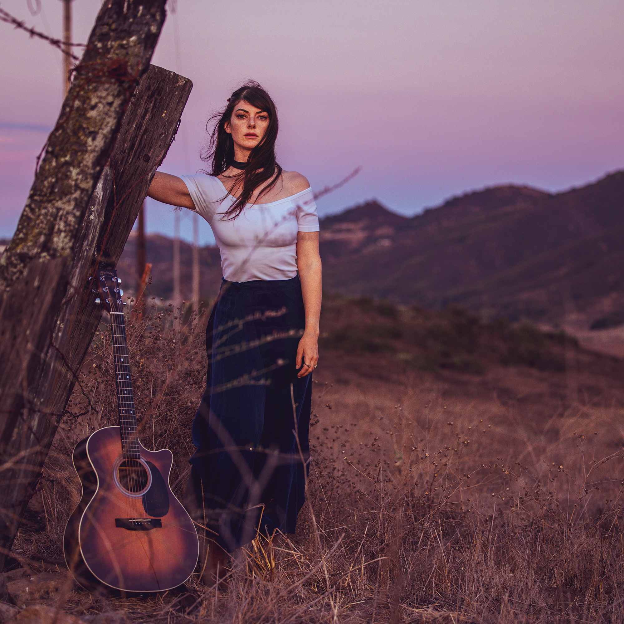 All the Animals - August 2025