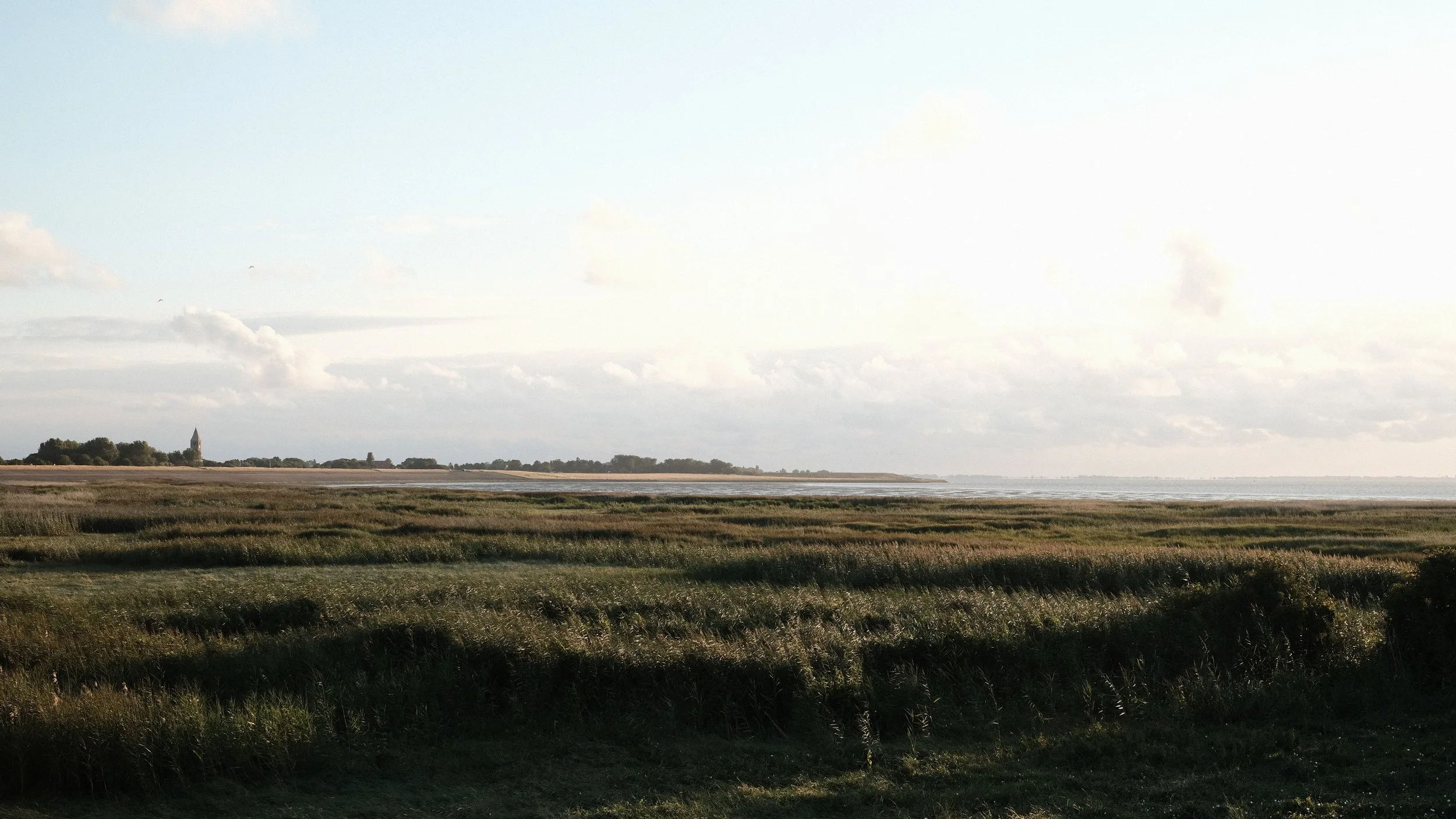 DSCF8150.jpg
