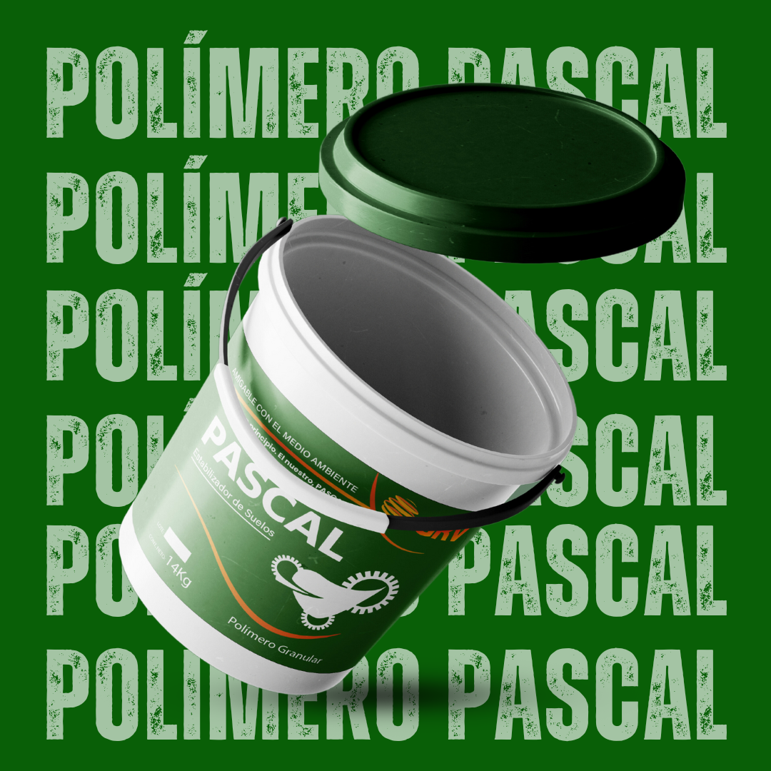 Imagen publicitaria de PASCAL