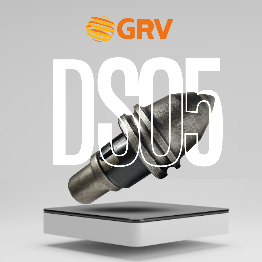 DS05.png