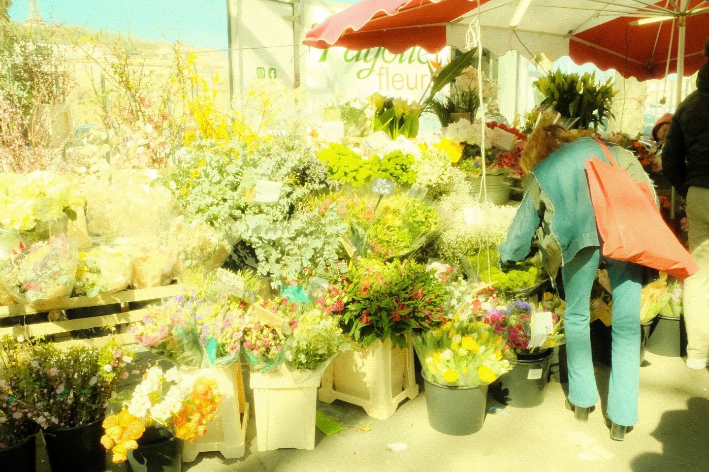Un &eacute;clat de printemps 💐

Un soleil nouveau rend &agrave; la ville sa fi&egrave;vre estivale d&rsquo;antan. Voici le printemps qui, chaque ann&eacute;e, met un point d&rsquo;honneur &agrave; la fleur, &agrave; la pointe des feuilles, aux bouto