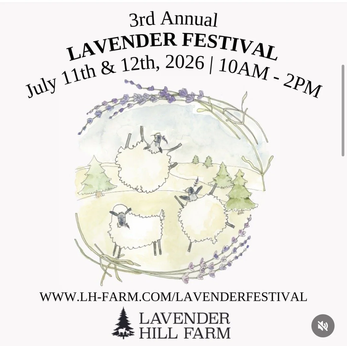 Lavender Hill Festival