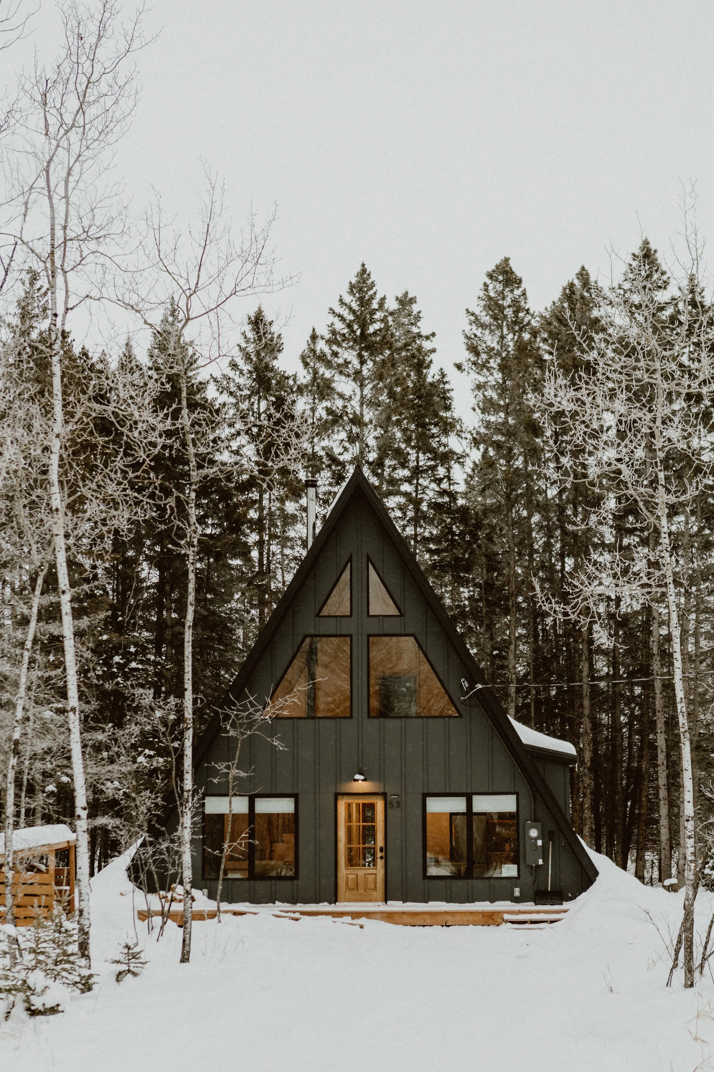 Winter Cabin-101.jpg