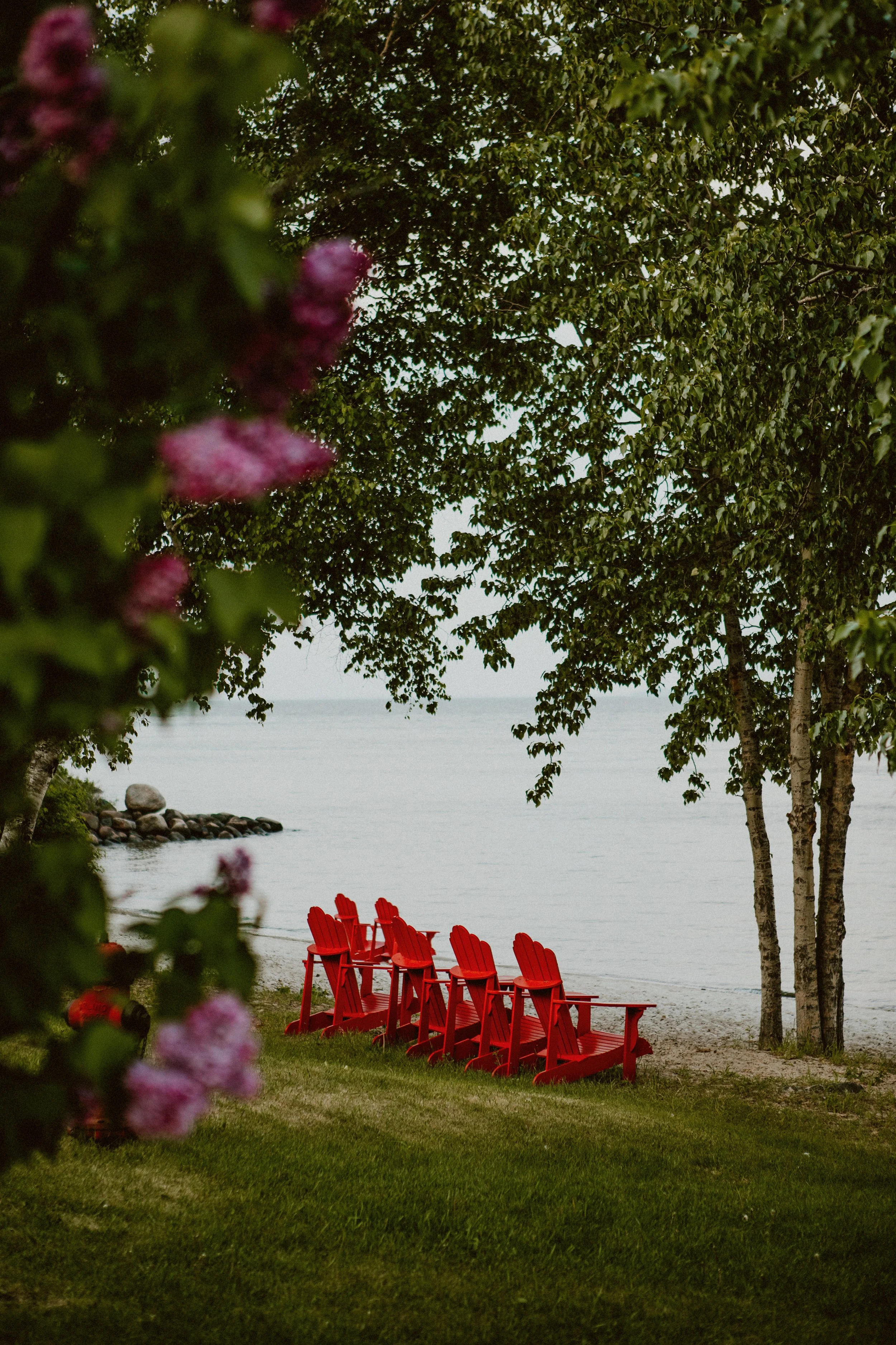 Gull Harbour June 2025 00071.jpg