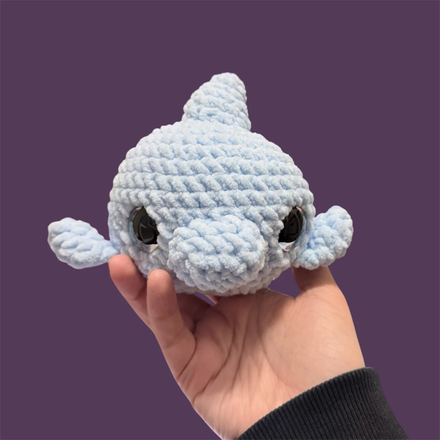 dolphin 2.JPG