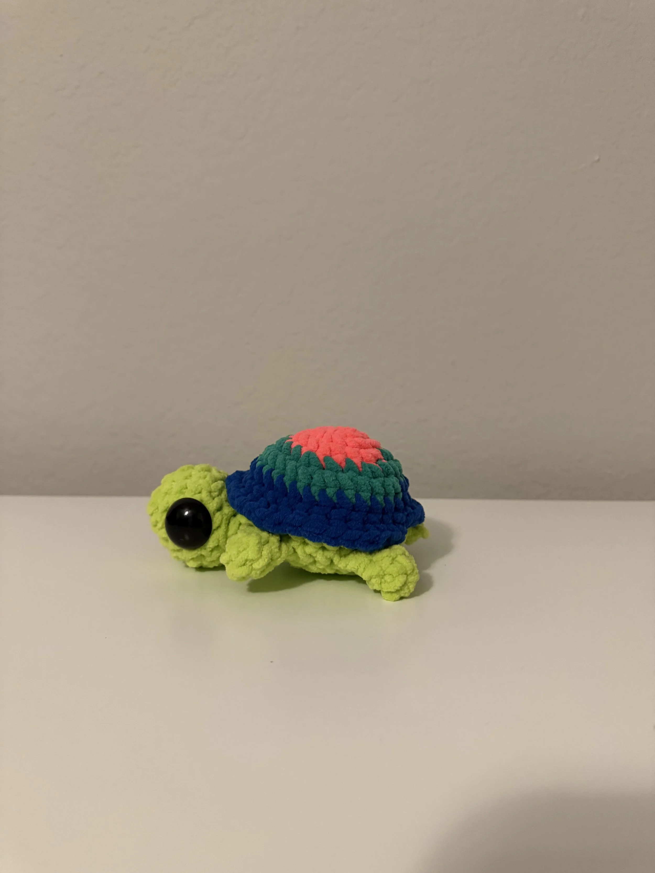 Polysexual Turtle