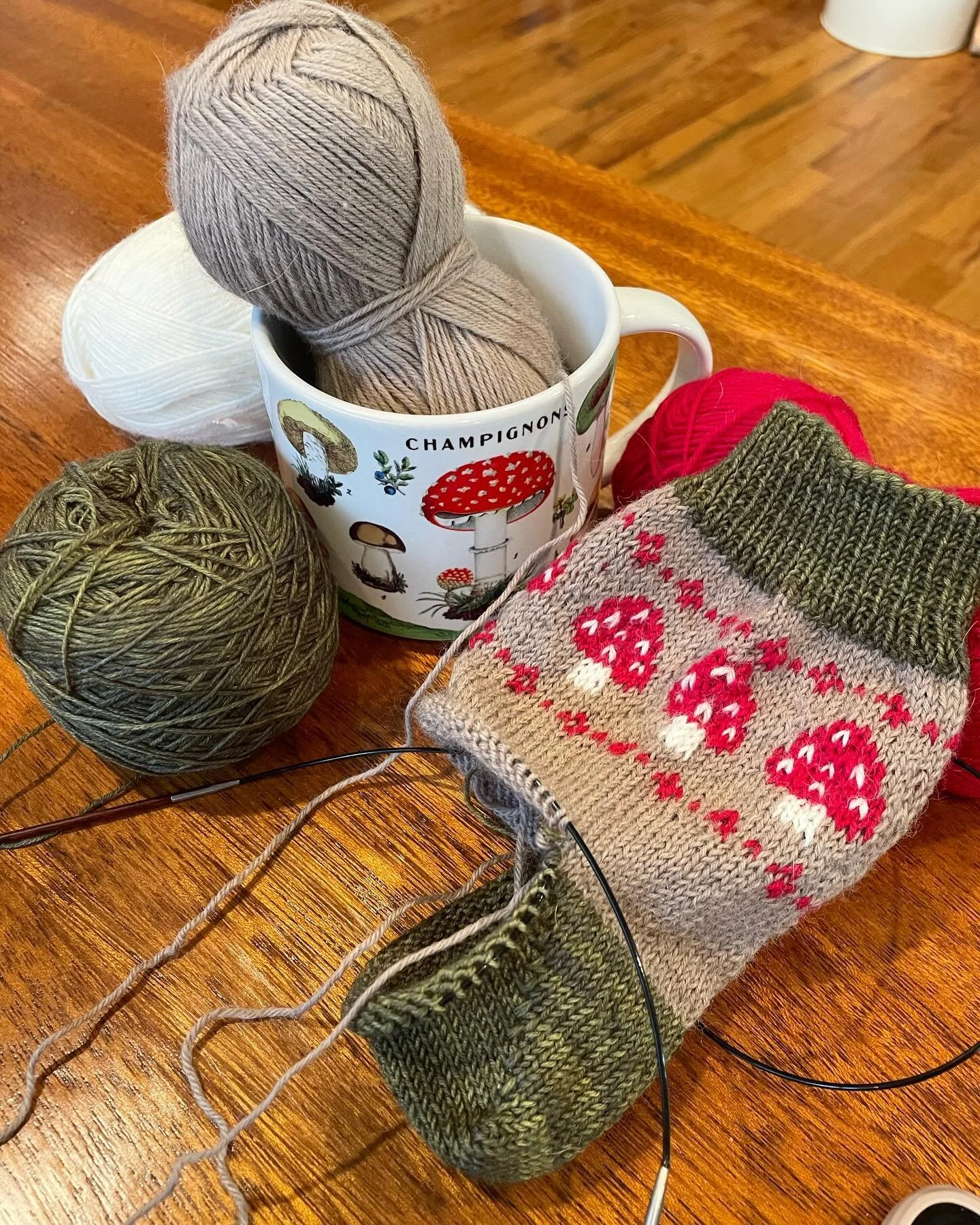 My first attempt at colour-work socks! By first attempt I mean I&rsquo;ve undone and reknit this one sock 6 times.  Also how perfect is this mug I was gifted?! Thanks to my professional photographer Sara for the second pic
.
.
.
.
.
#knitting #knitti