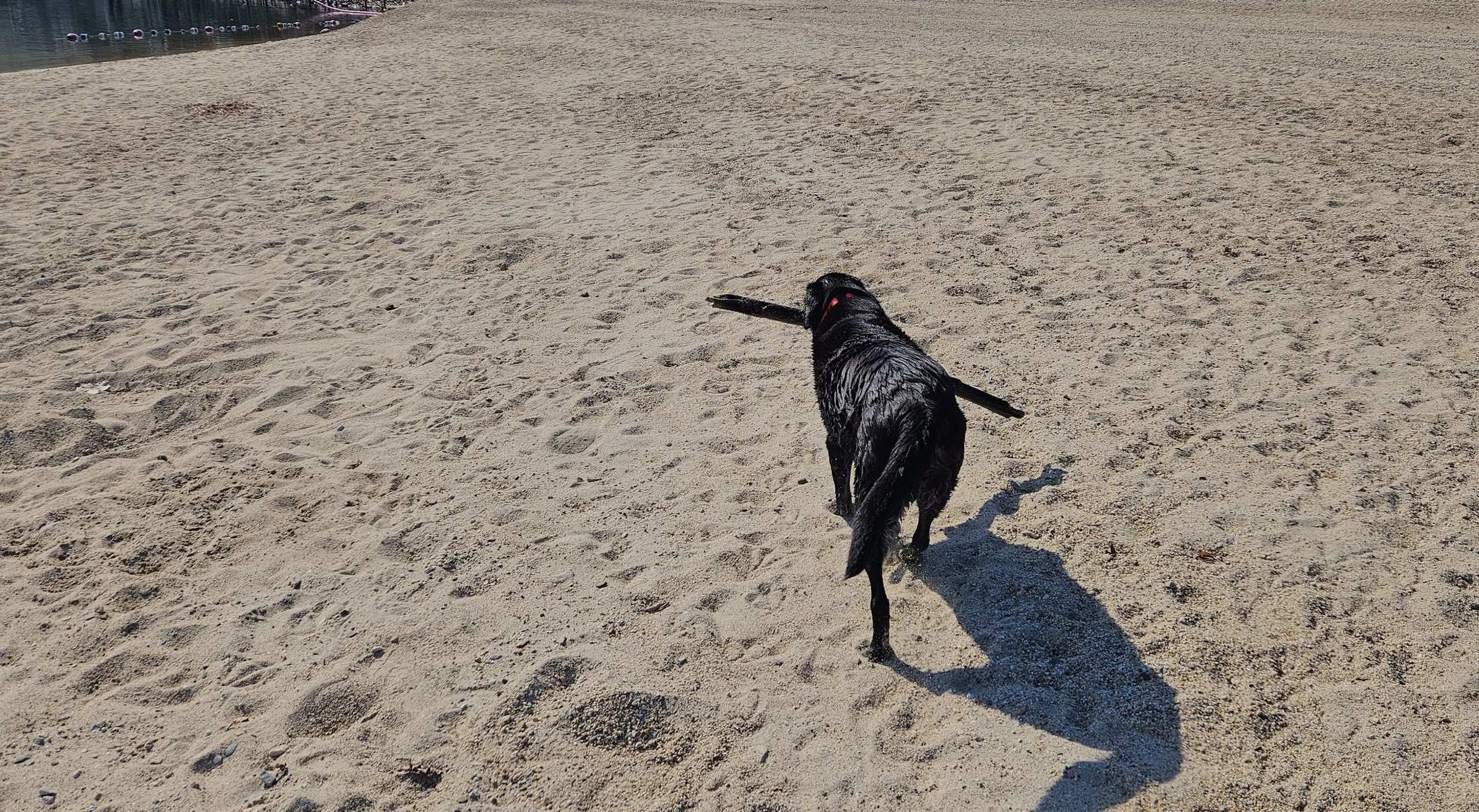 20250423_095405 2.jpg