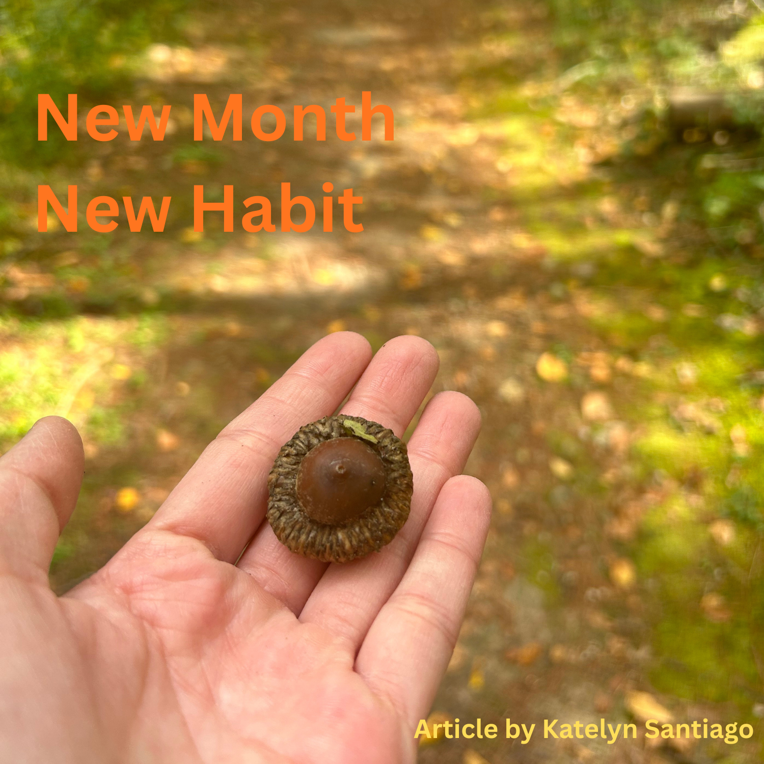 New Month, New Habbit