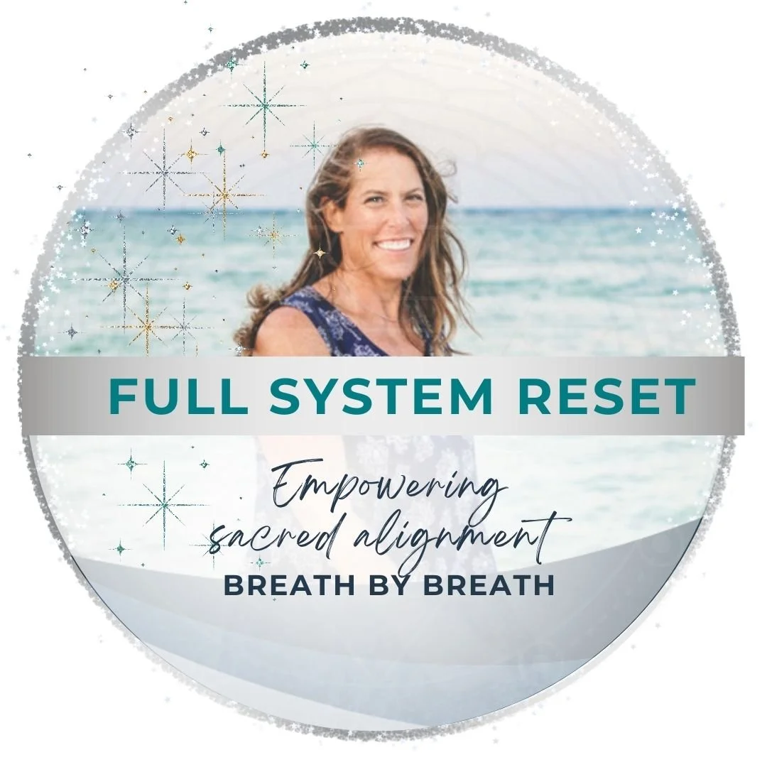 Full System Reset with Nicole Gotthold