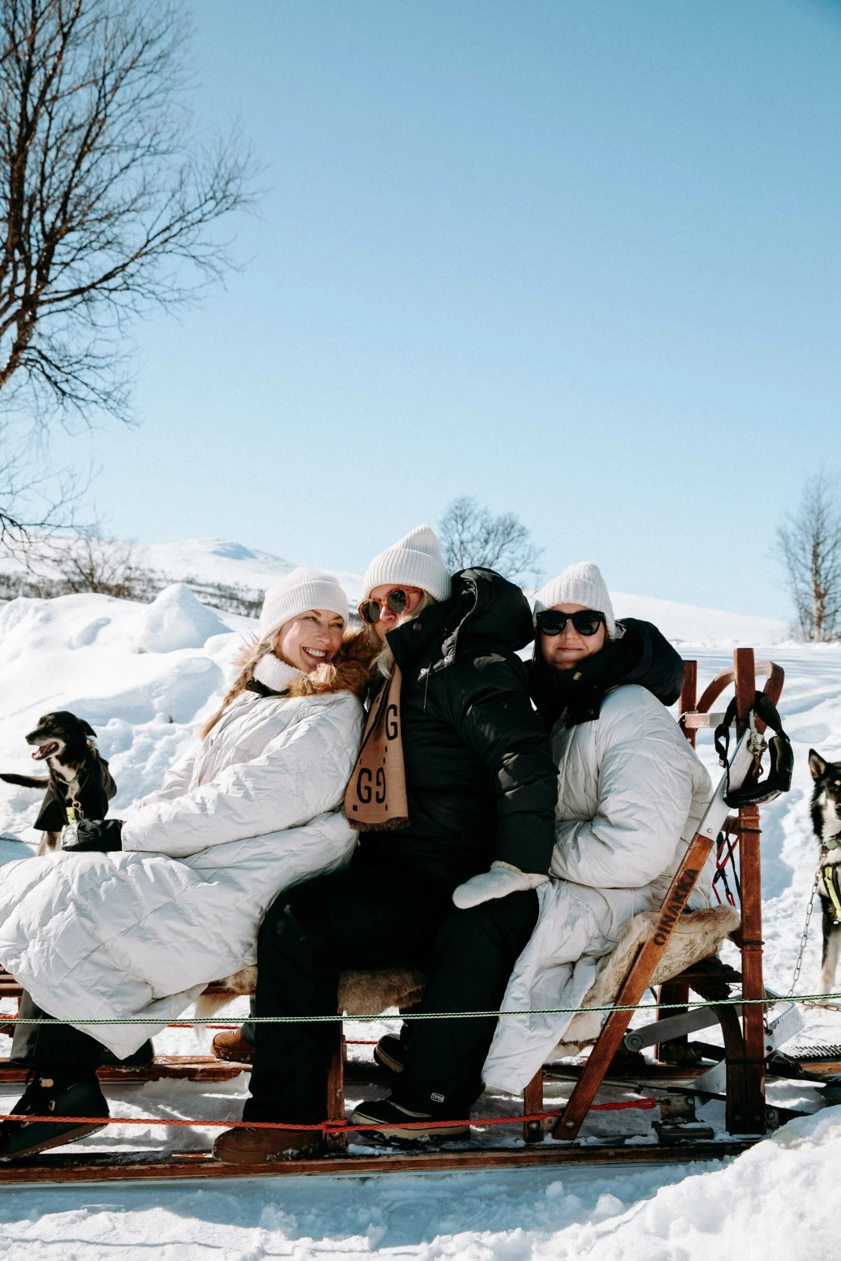 Three people dressed in winter clothing sitting on a wooden sled in a snowy landscape, with two dogs nearby and snow-covered mountains in the background. Press trip with EKPR and the brand HärjedalsKök.