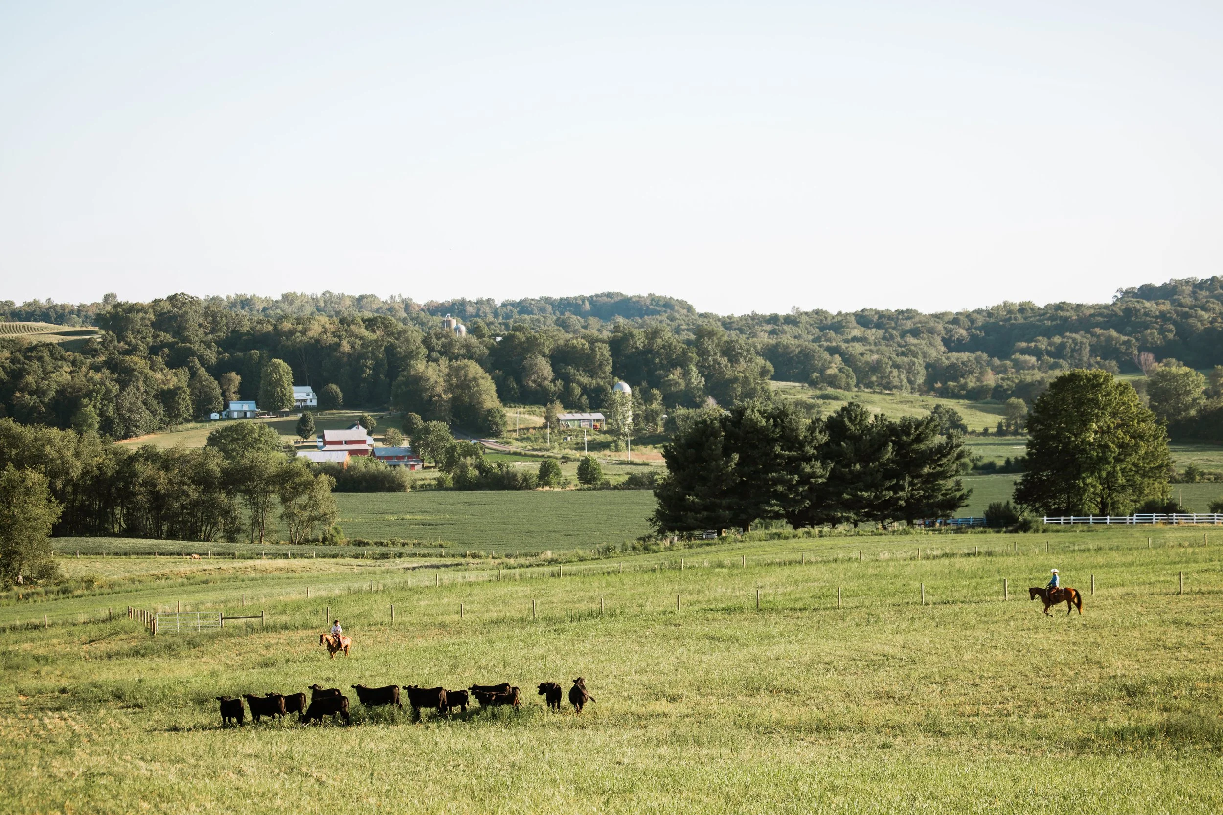 More Than a Brand: The History, Purpose, and Community Behind Herd Heritage’s Spring Branding
