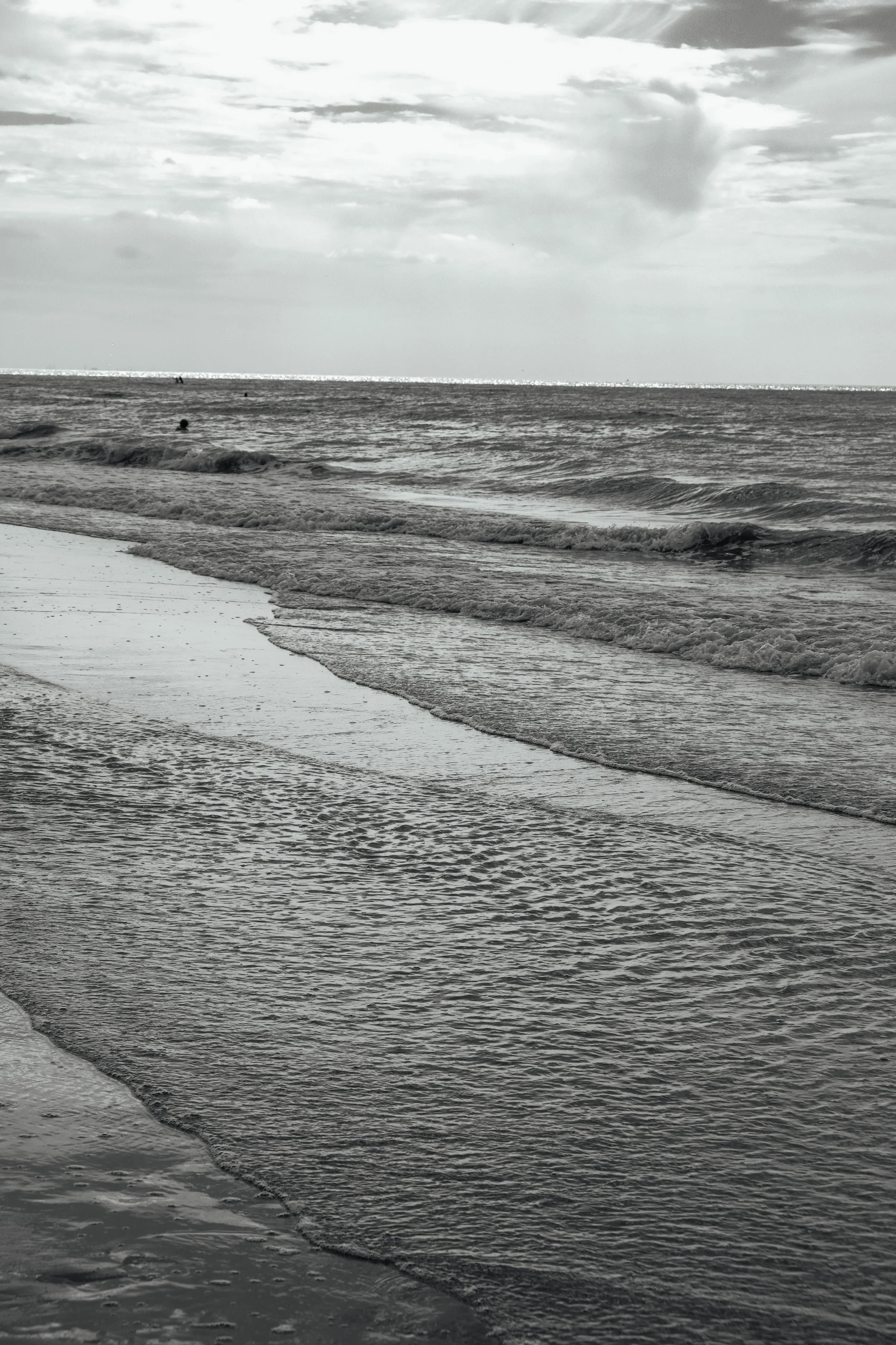DSCF2640.jpg
