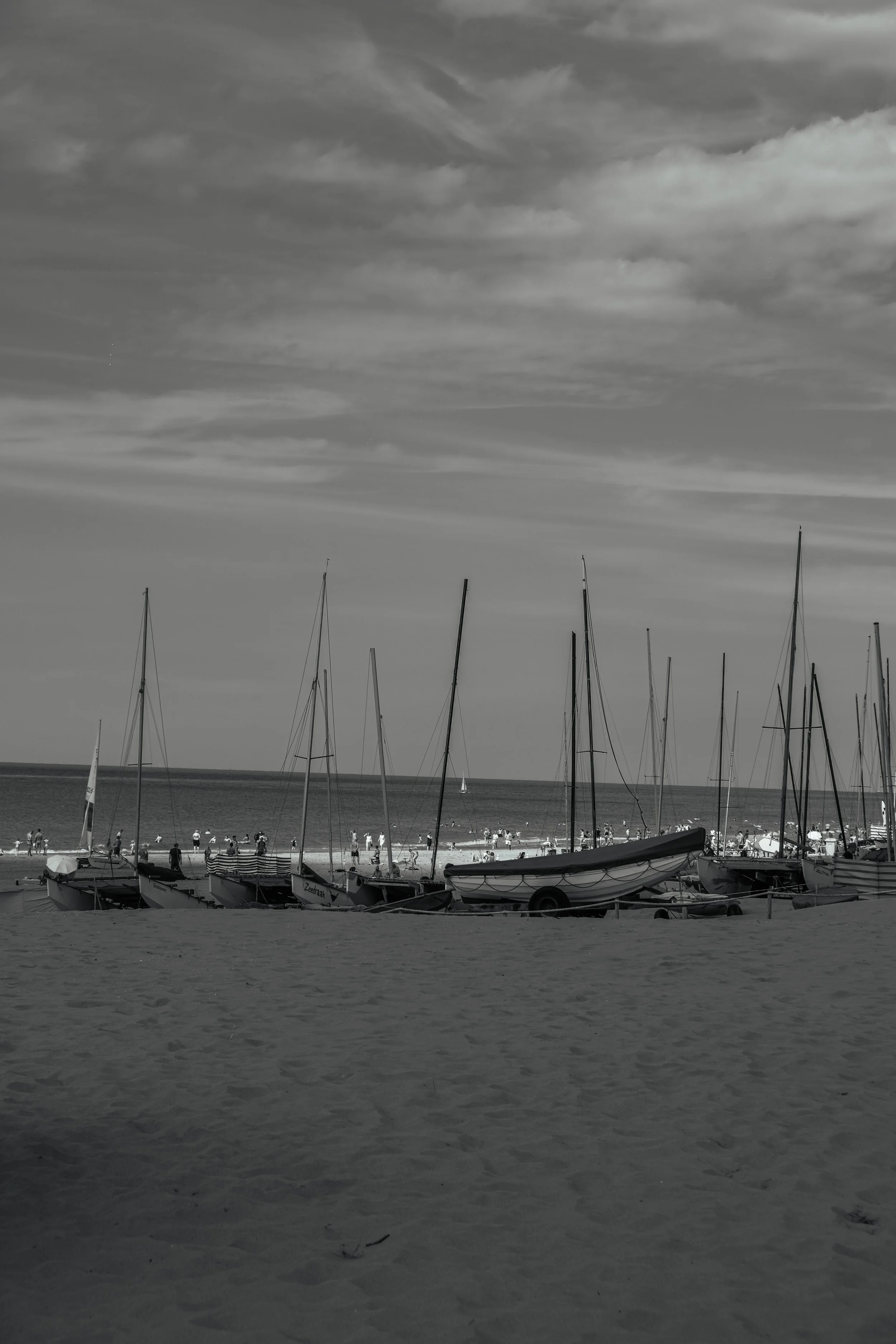 DSCF2610.JPG