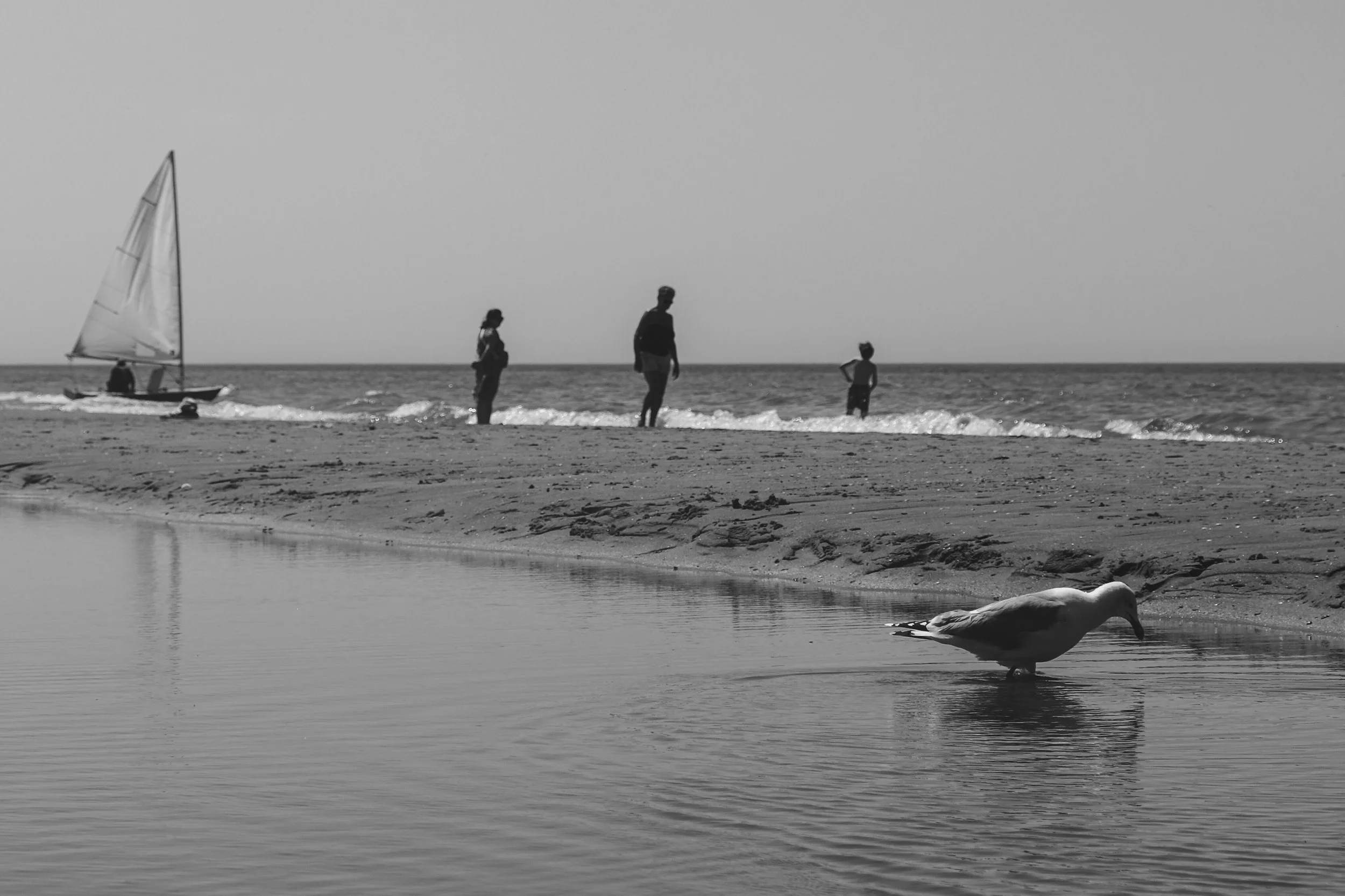 DSCF3771.jpg