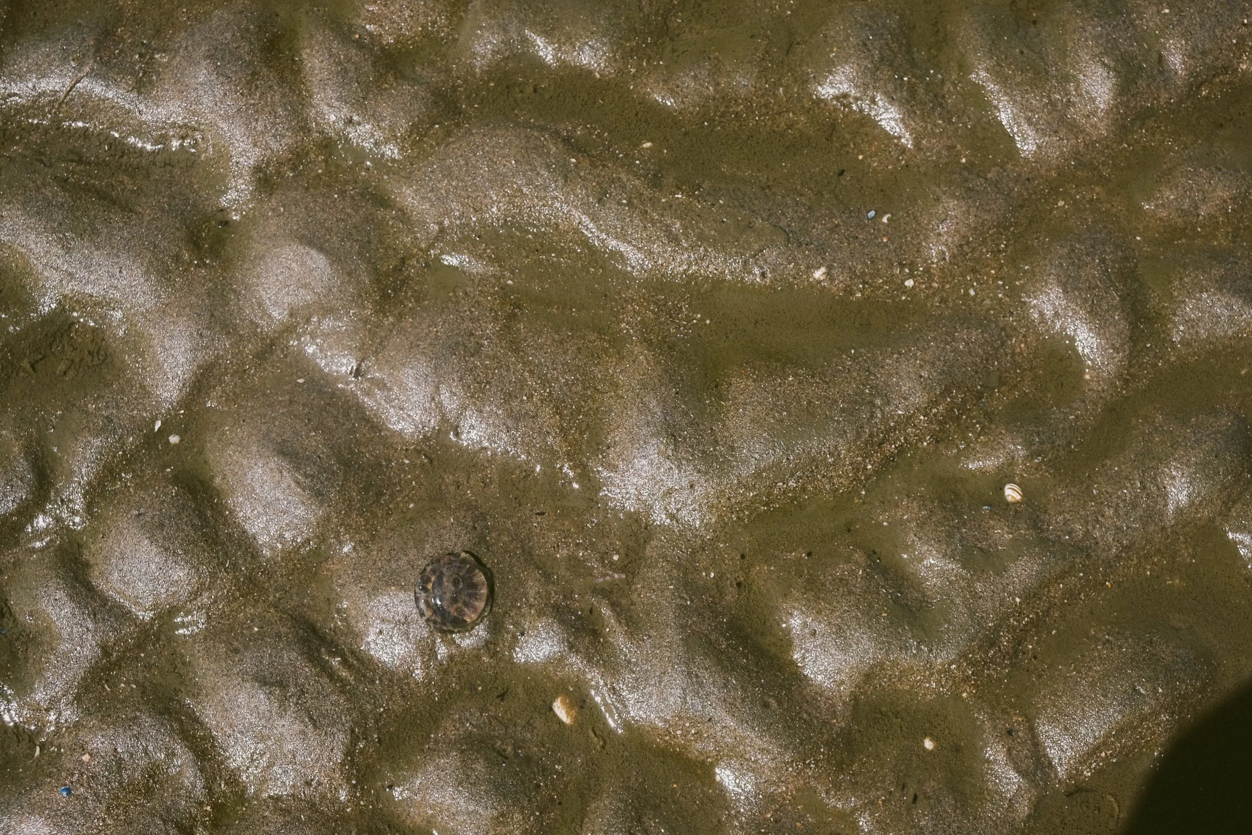 DSCF3774.JPG