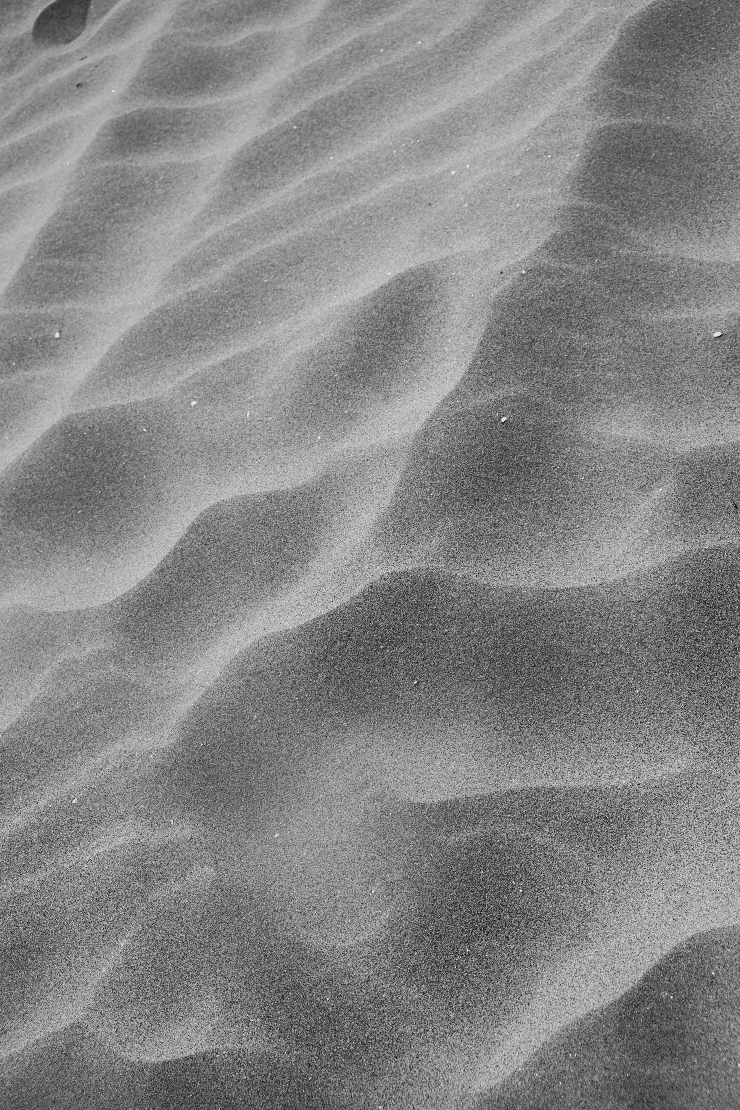DSCF3864 2.jpg