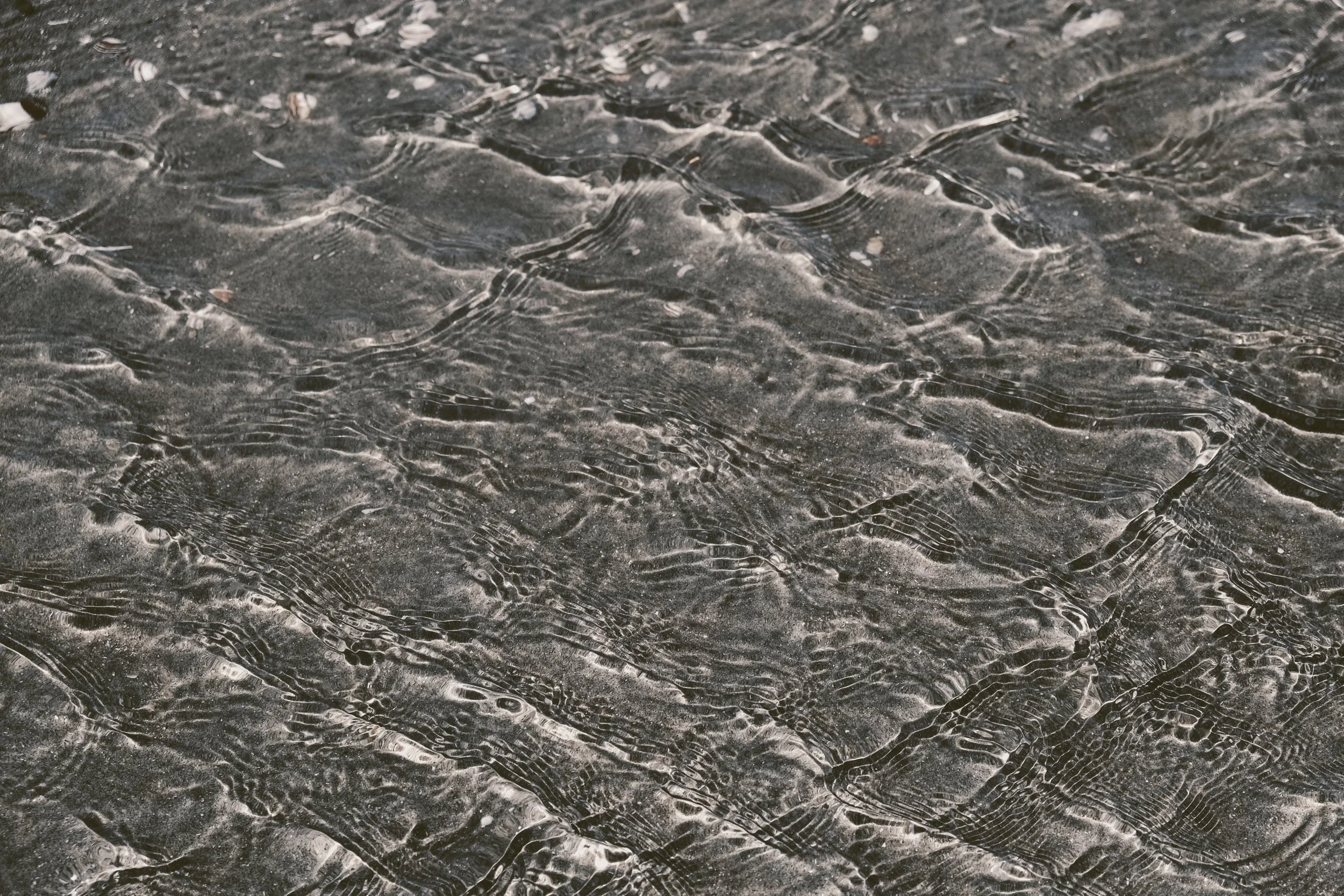 DSCF3933.JPG