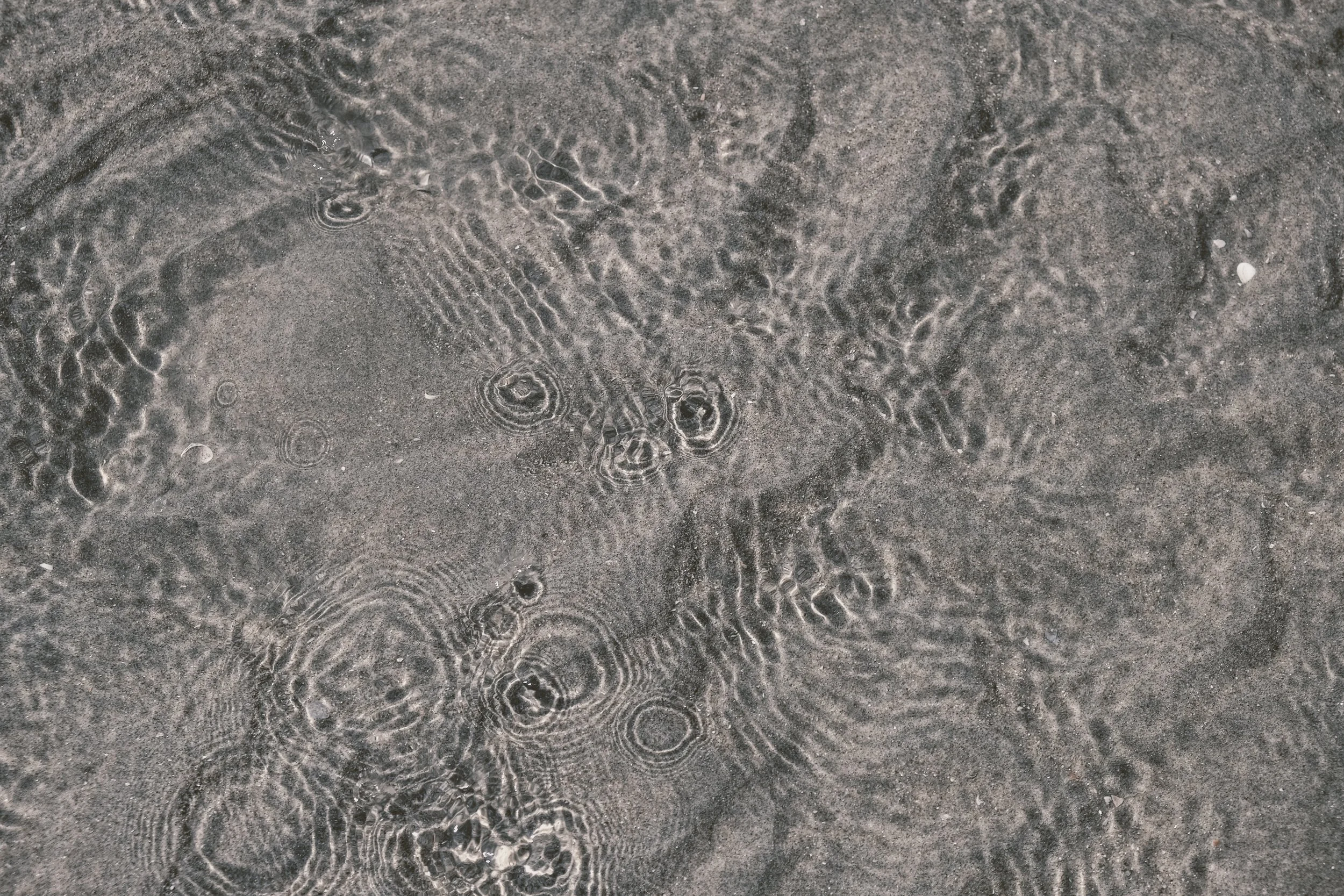 DSCF3926 2.JPG