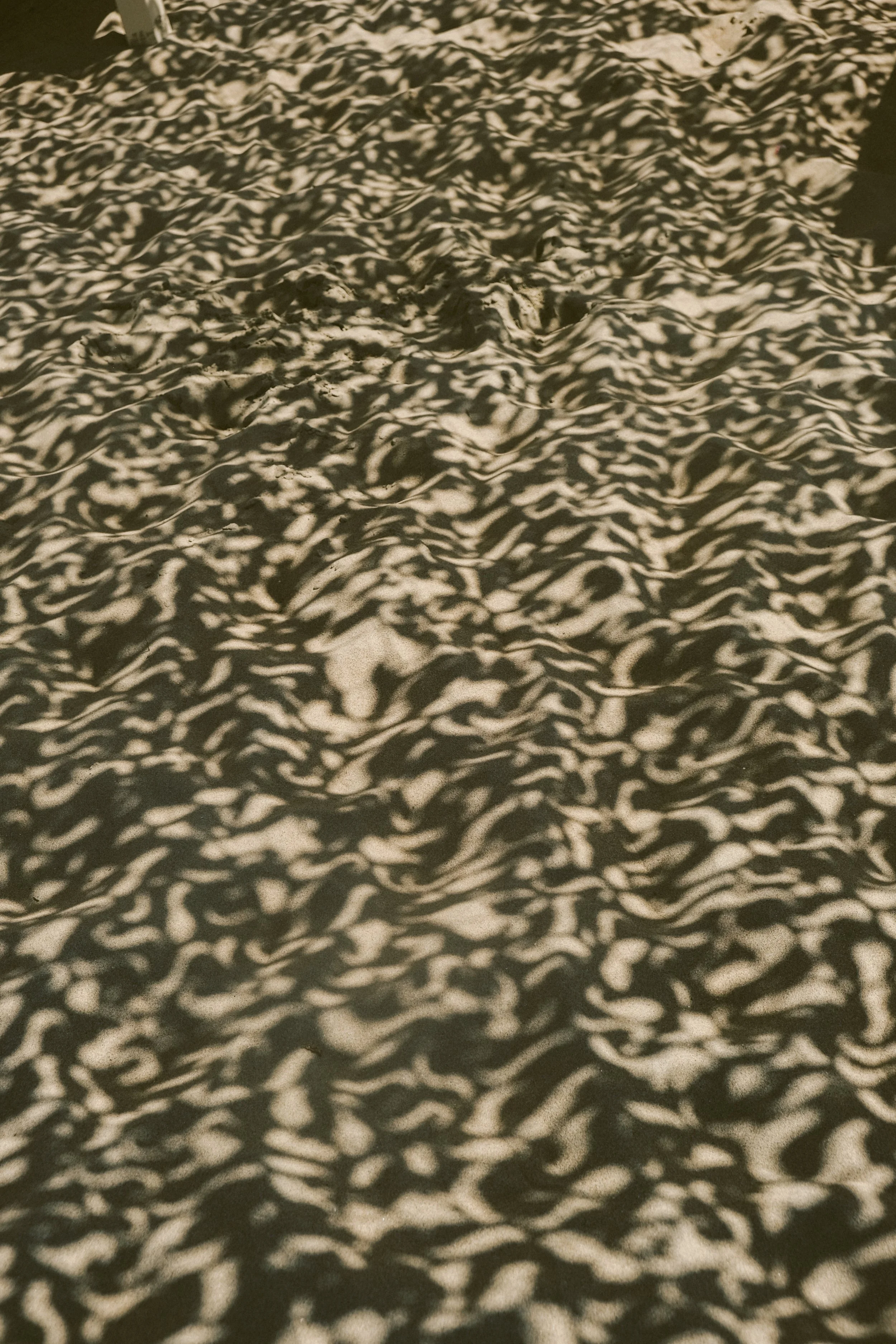 DSCF3811.JPG