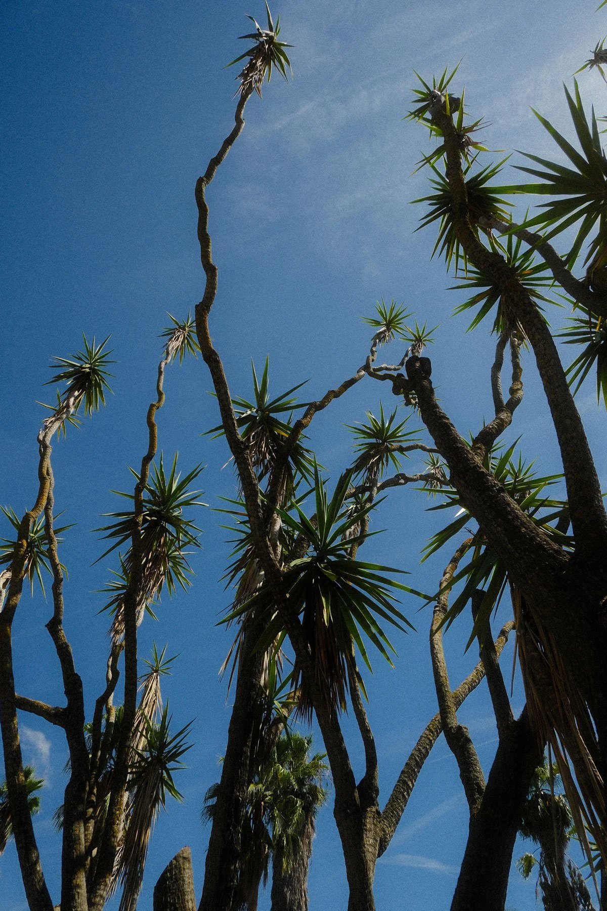 DSCF1115.jpg