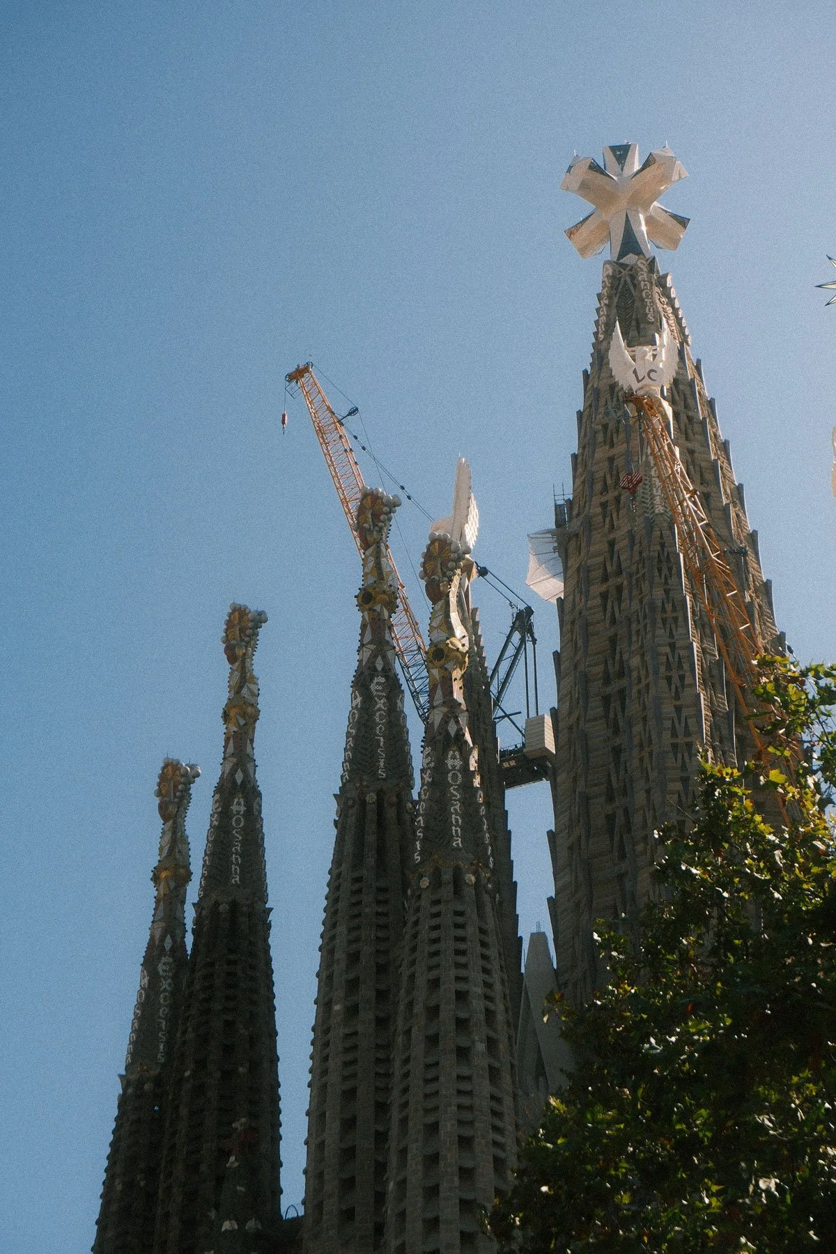 DSCF0979.jpg