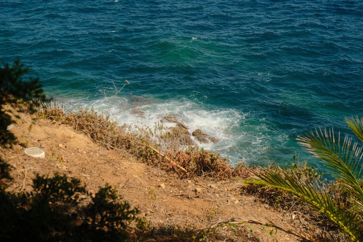 DSCF1257.jpg