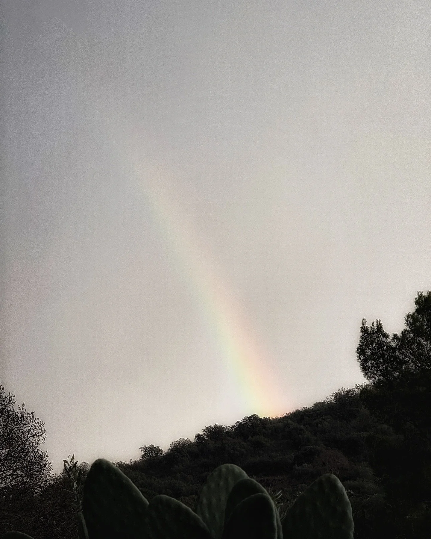 #shotoniphone
