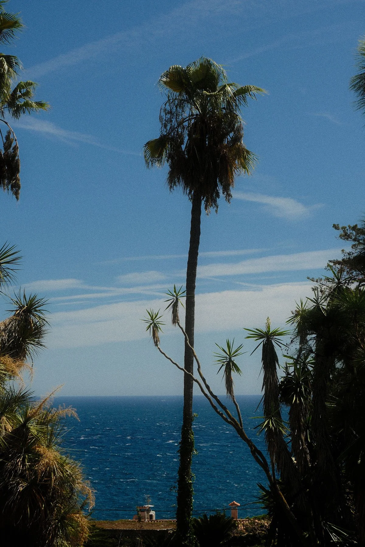 DSCF1111.jpg