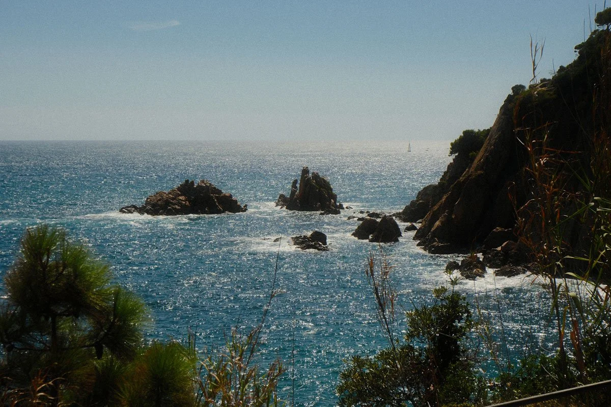 DSCF1253.jpg