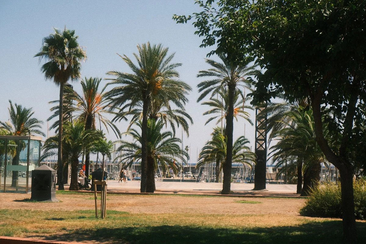 DSCF0933.jpg