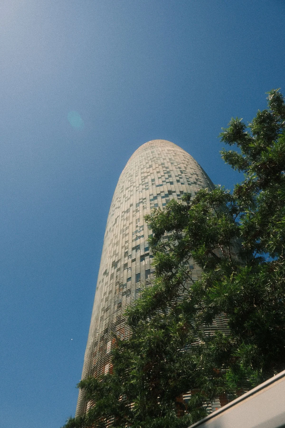 DSCF0951.jpg