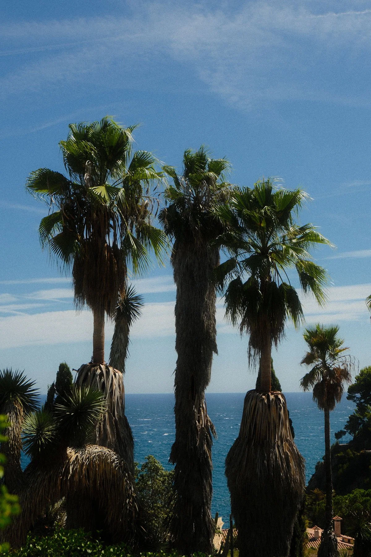 DSCF1120.jpg