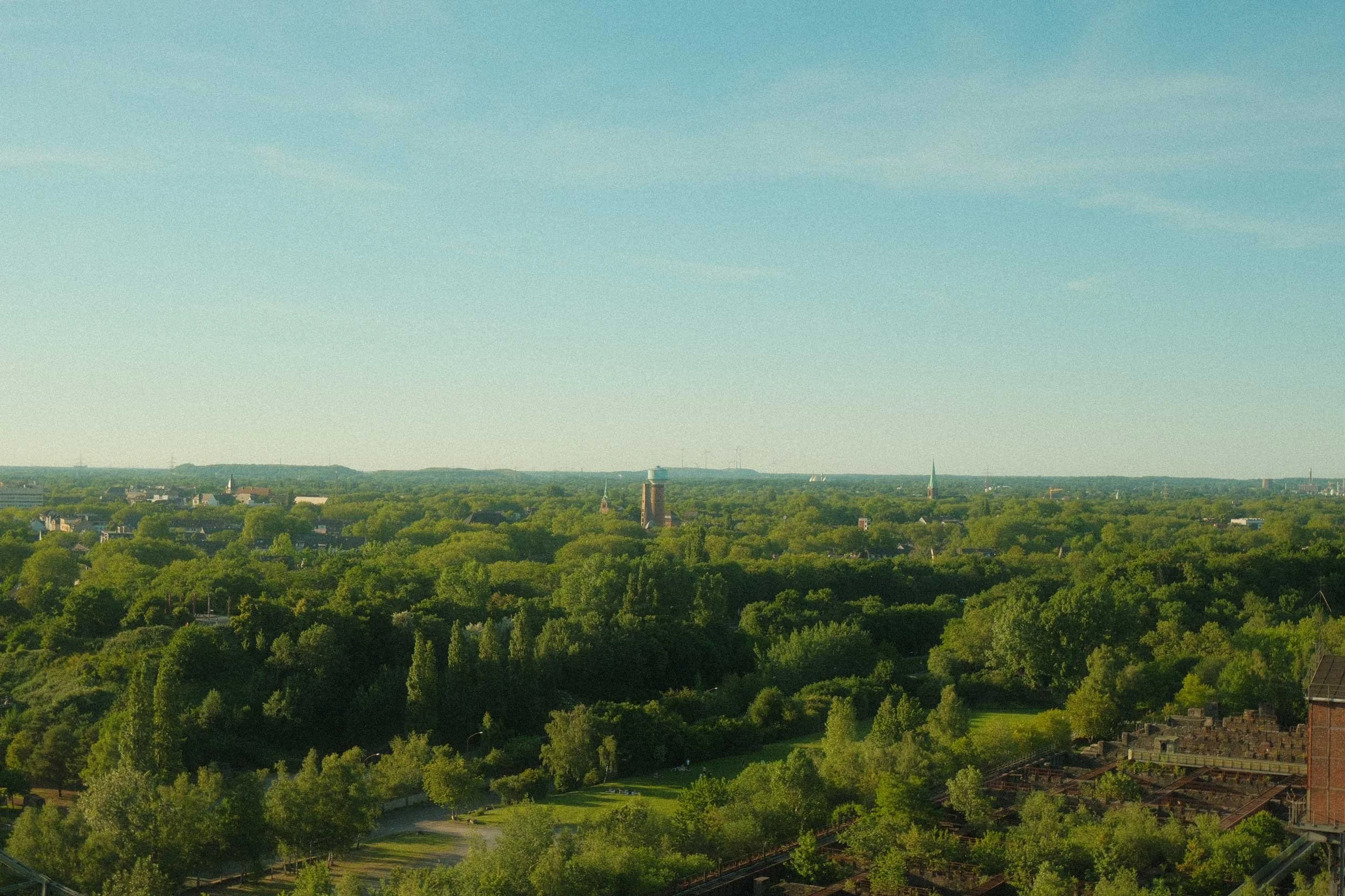 DSCF0355.jpg