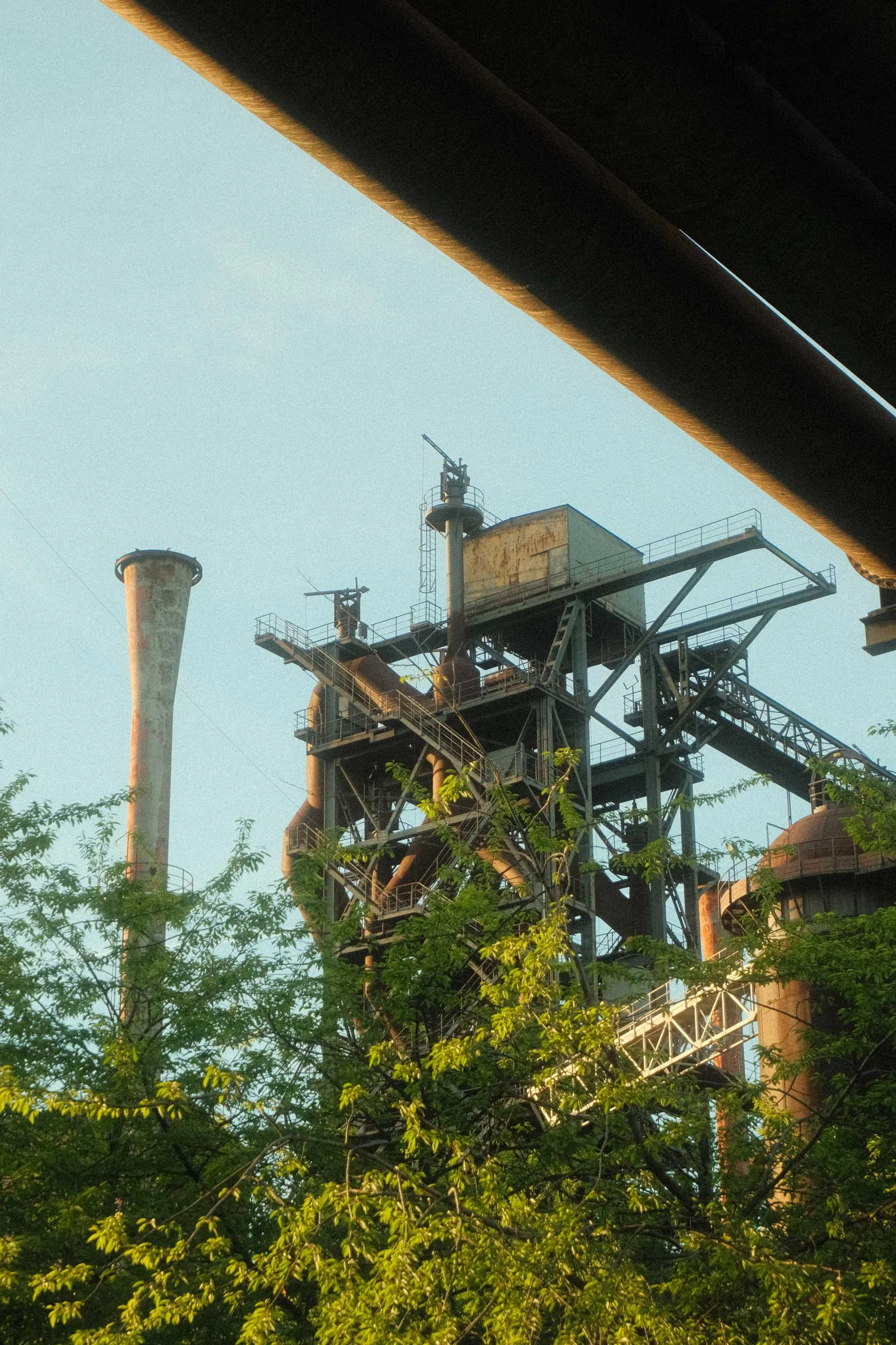 DSCF0502.jpg