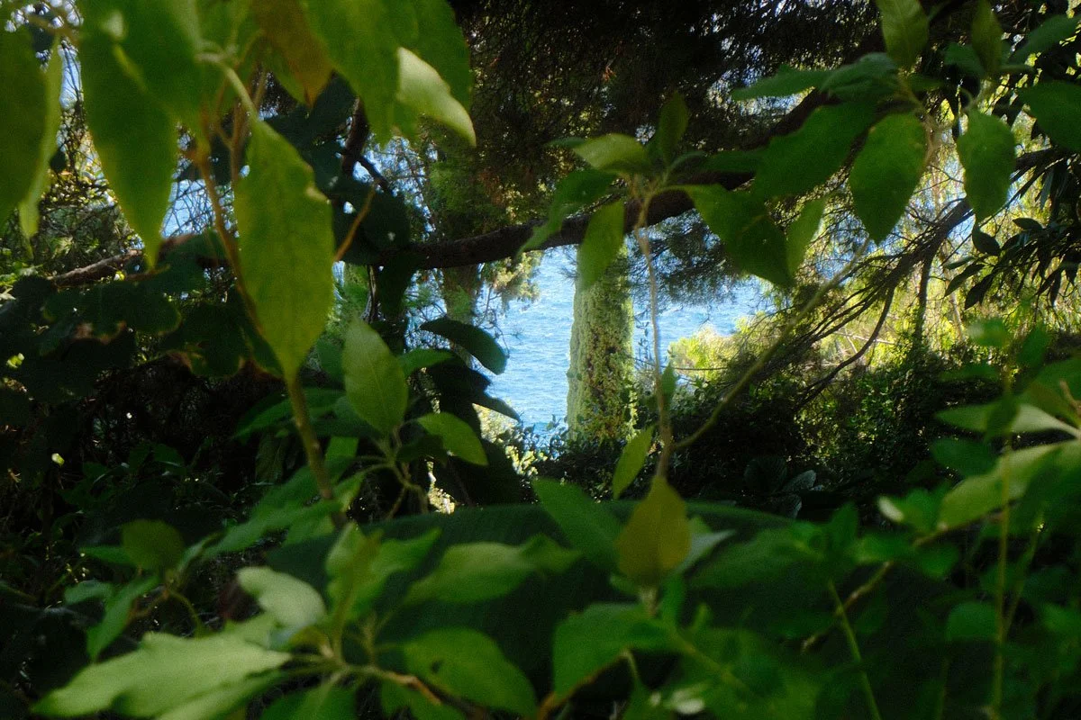 DSCF1187.jpg