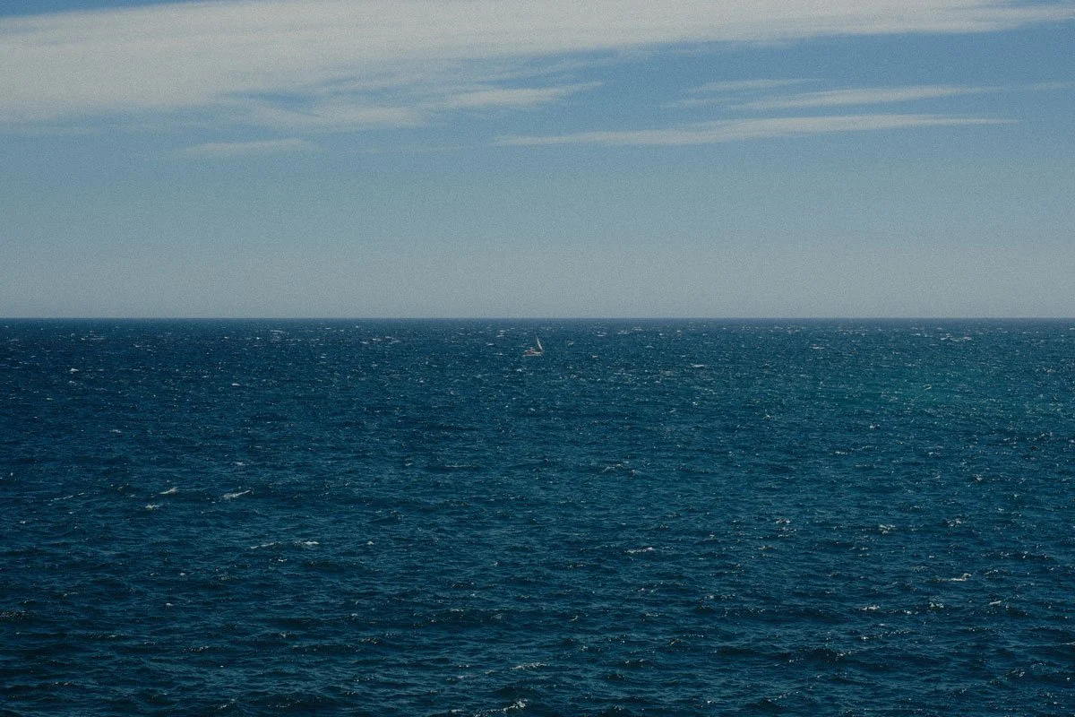 DSCF1228.jpg