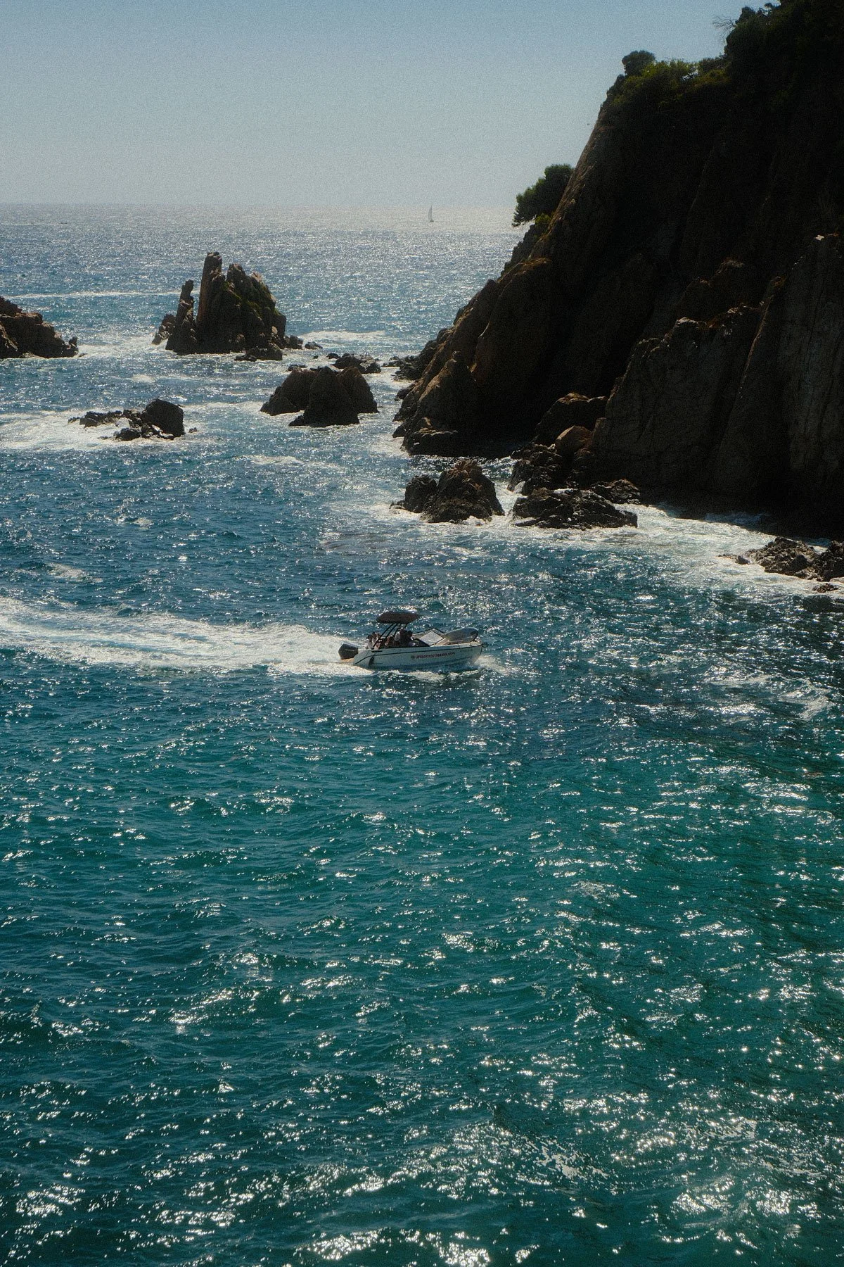 DSCF1244.jpg