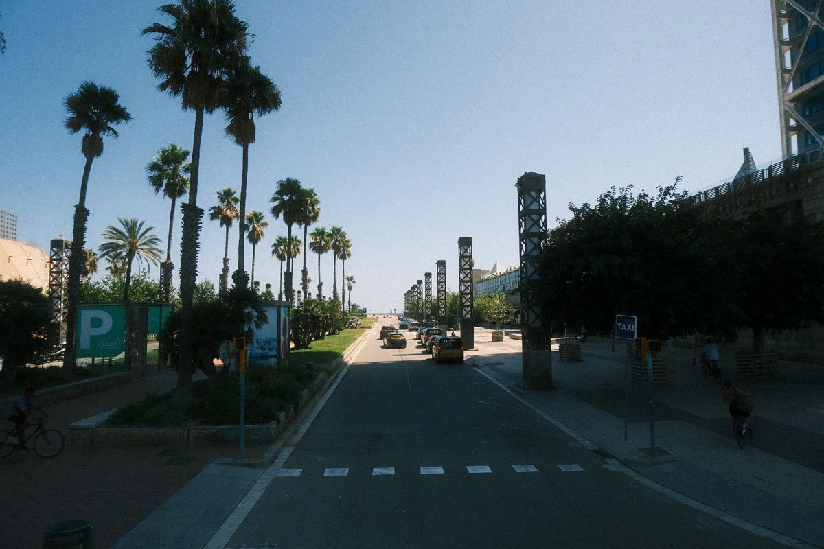 DSCF0931.jpg