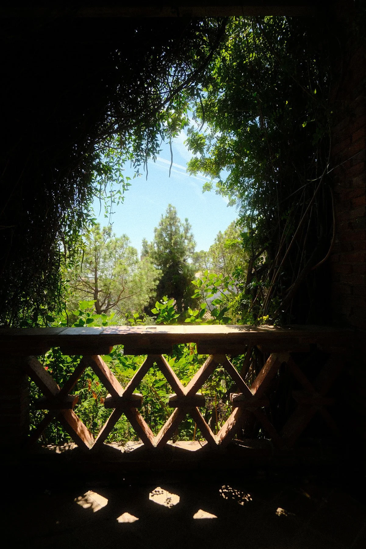DSCF1133.jpg