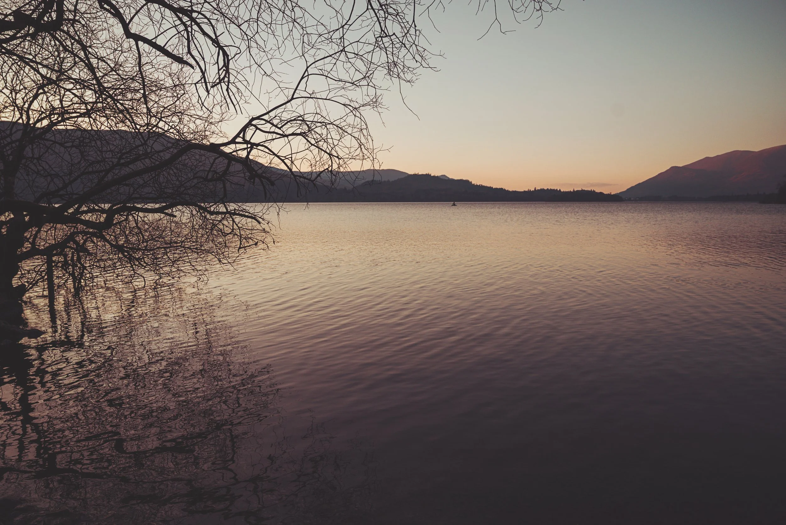 DSC_2997.jpg