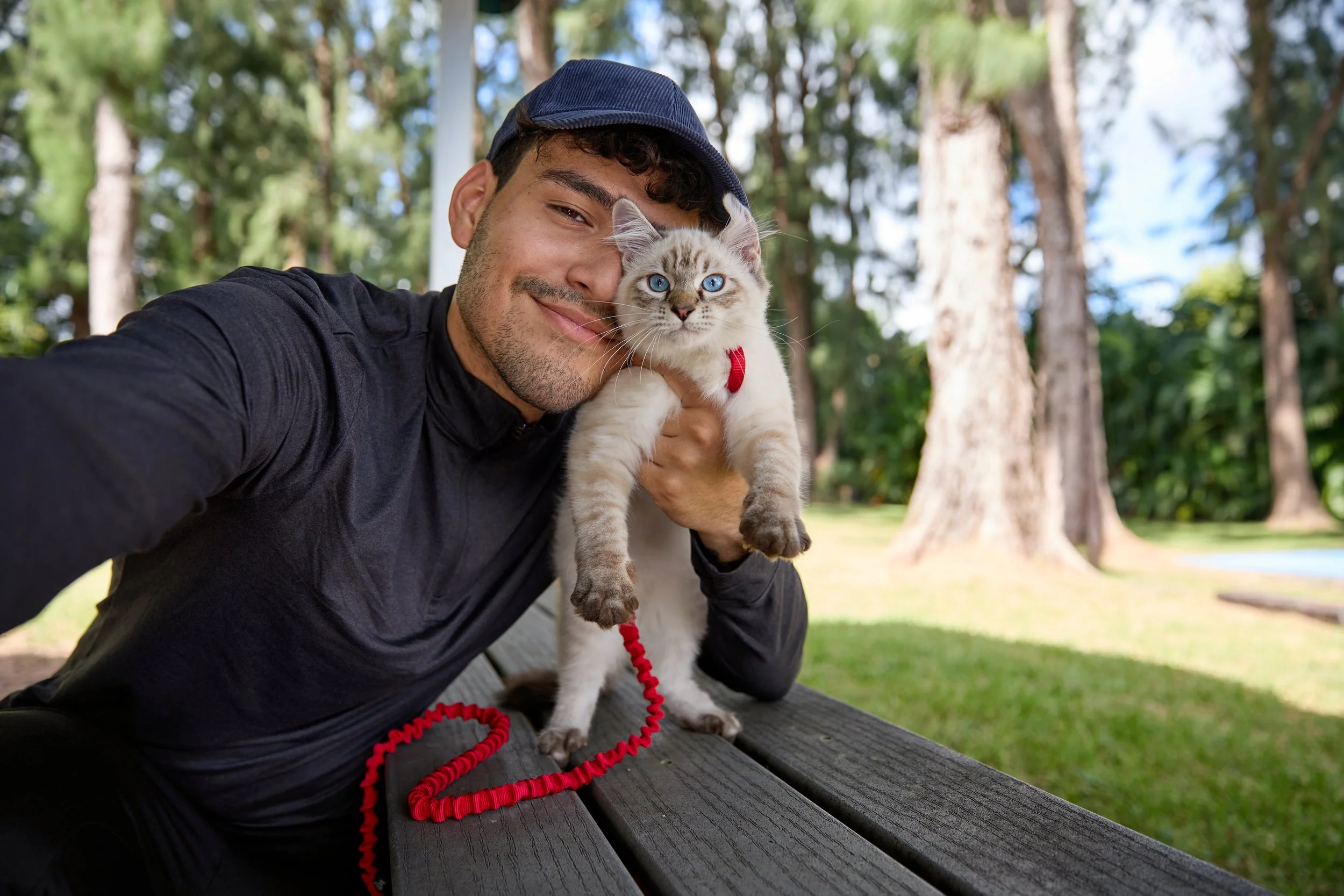 From Adopted Kitten to Feline Superstar: The Story of Gojo