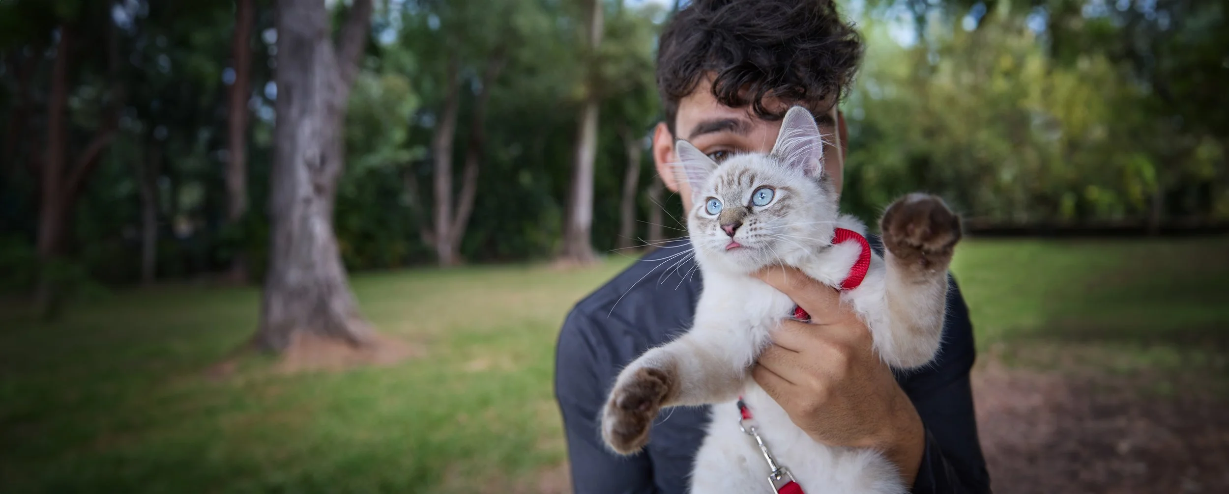 Man holding kitten in front of his face.