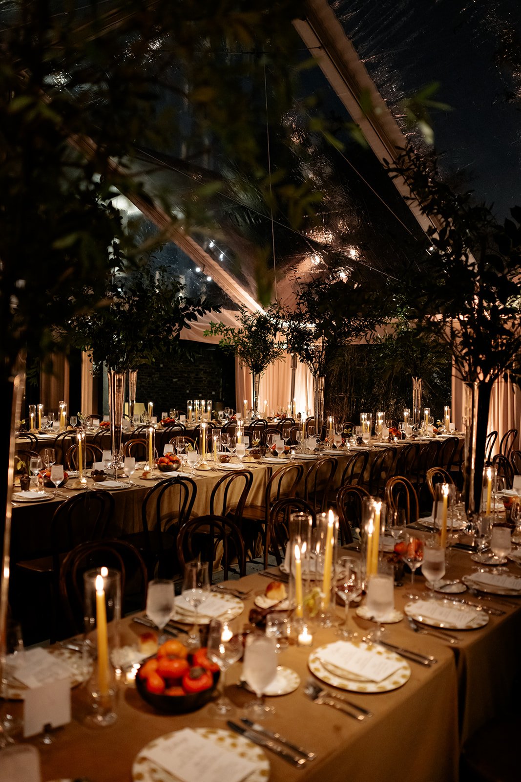 Fotis Sid Photography-193_websize.jpg