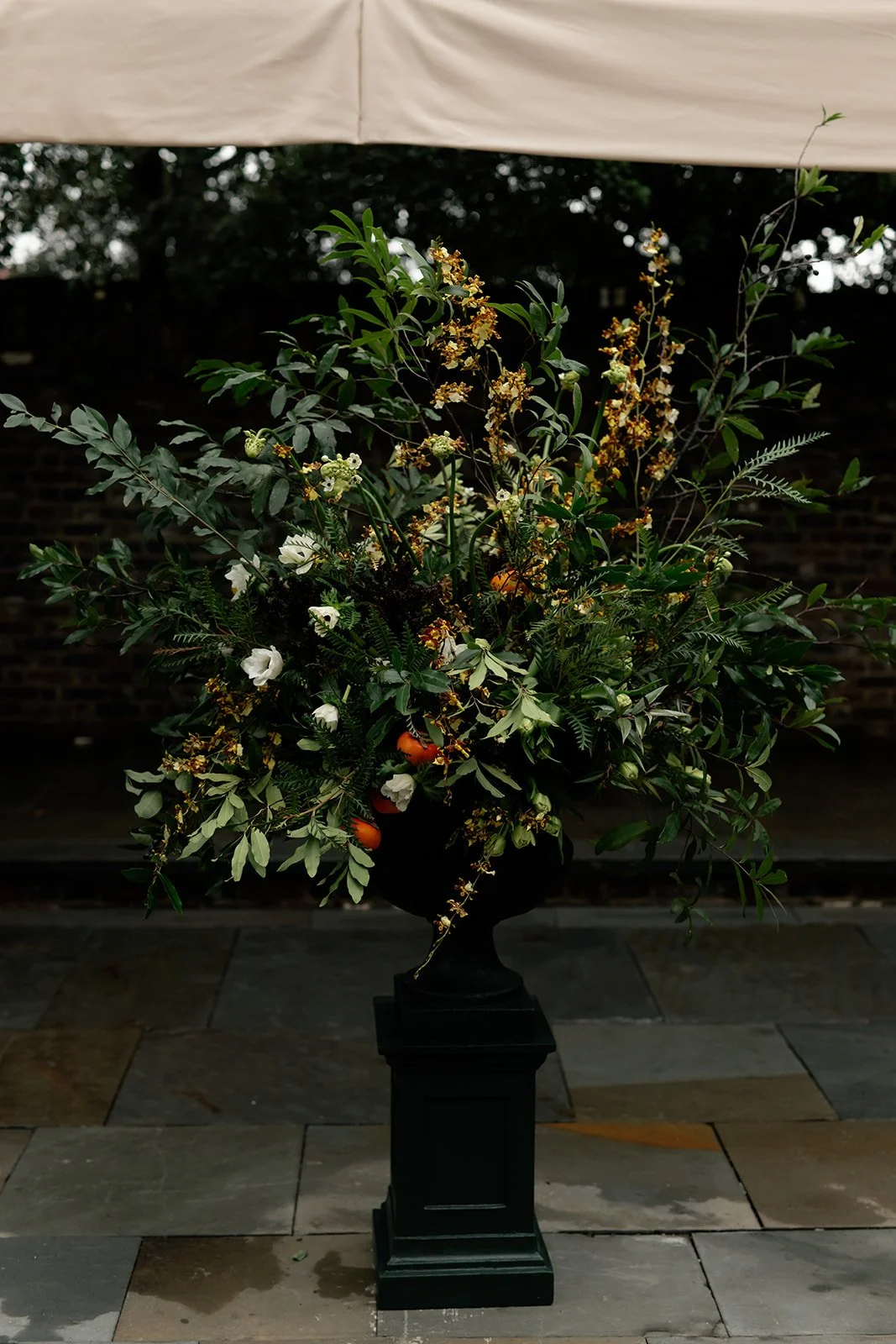 Fotis Sid Photography-87_websize (1).jpg