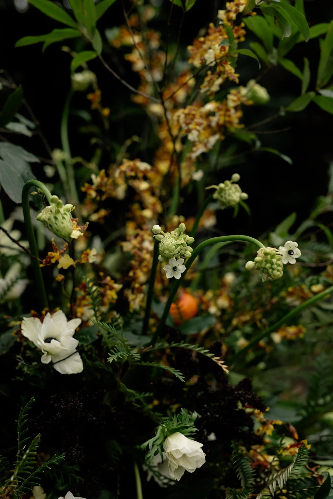 Fotis Sid Photography-80_websize.jpg