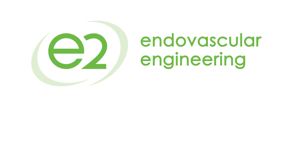 Endovascular Engineering