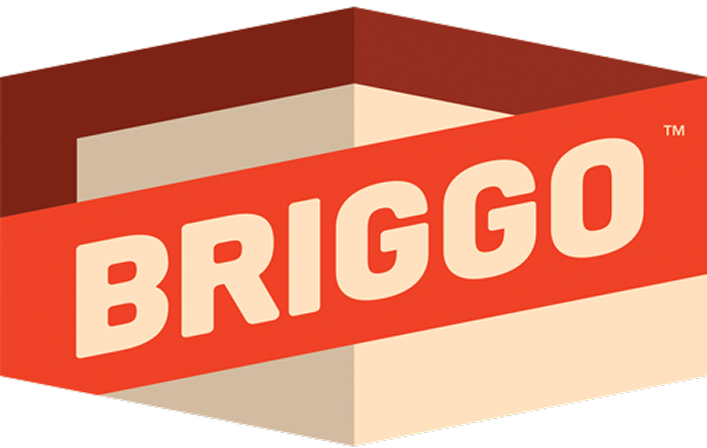 Three-dimensional box with the word 'BRIGGO' on a red band wrapping around it.