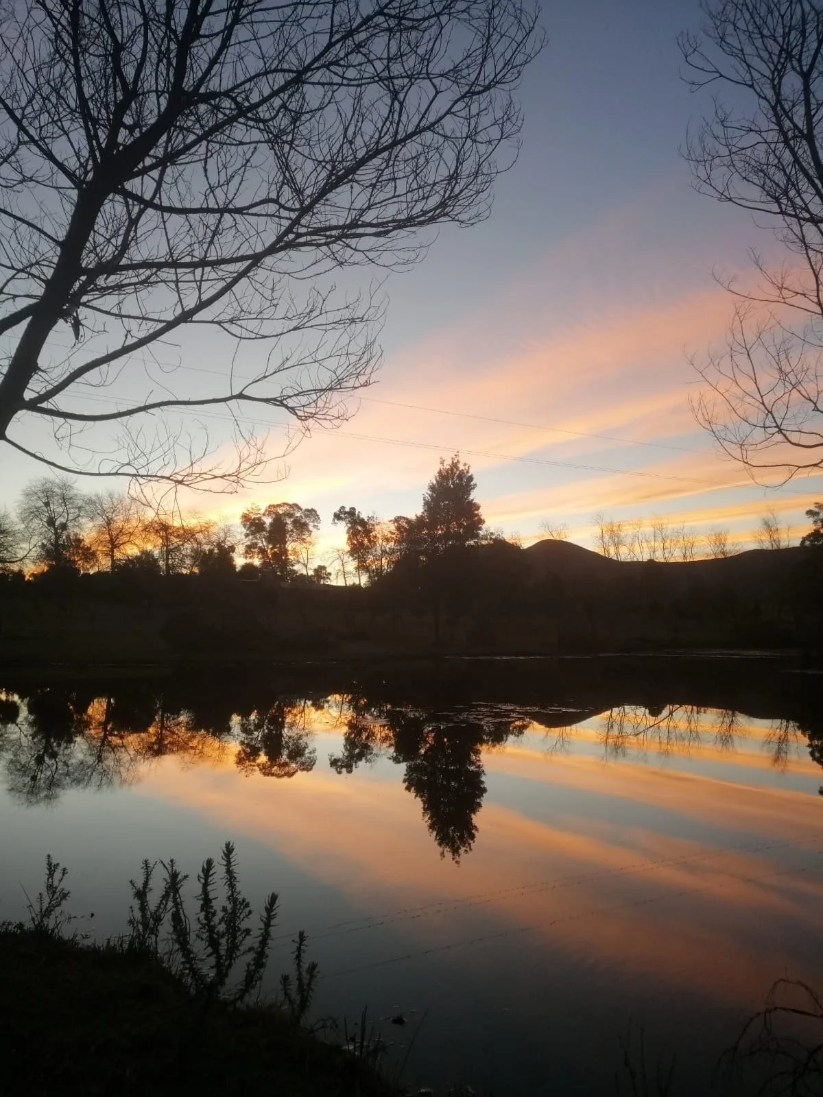 A tranquil lake reflecting trees and colorful sky at sunset or sunrise.