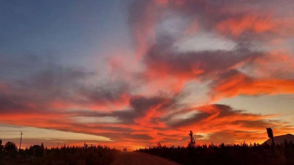 Colorful sunset sky with orange, pink, and purple clouds over a dark landscape with trees and a dirt road.